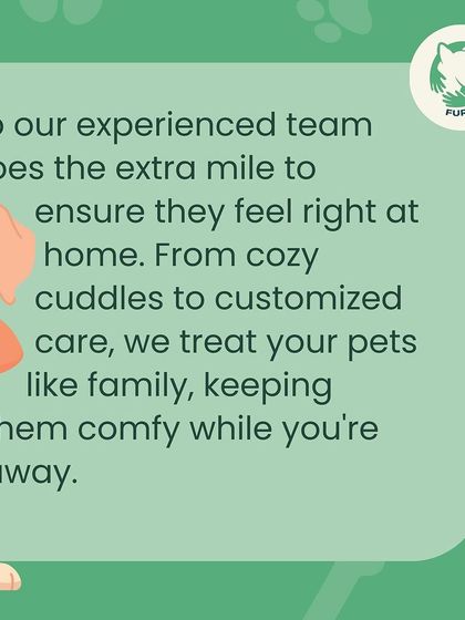 Furever Safe - Pet Boarding & Day Care Pet Sitting In Your Home photo 6