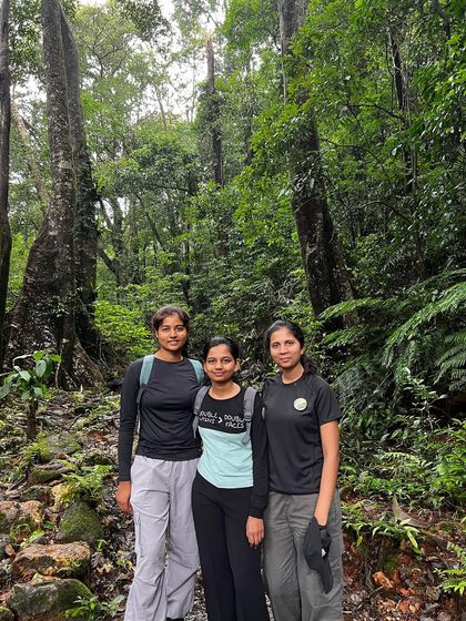 Three friends trekking through the dense forest of Kodachadri.