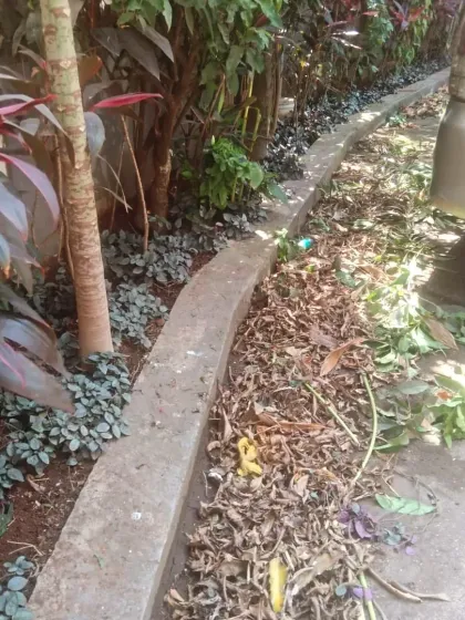 The process of clearing out old leaves and weeds from a garden bed. This is a crucial step in our garden AMC to ensure plants have the space and nutrients to grow.