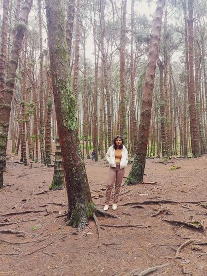 Jaya Kumari - Personal Styling & Wardrobe Consulting My Style & Other Thoughts photo 15