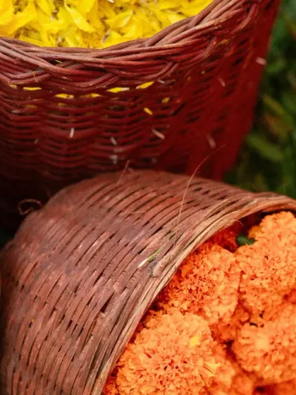 Flinters Management - Custom Wedding Design & Decor Vibrant Haldi Carnivals photo 46