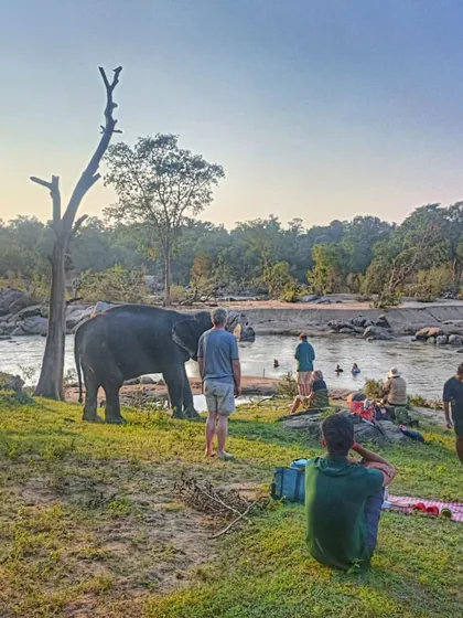 A truly magical moment from our cycling holiday in Kanha National Park. After a day of pedaling through the forest, we get to relax by the river and watch Tara, the resident elephant of Kipling Camp, enjoy her evening bath. It's an experience that connects you deeply with nature.