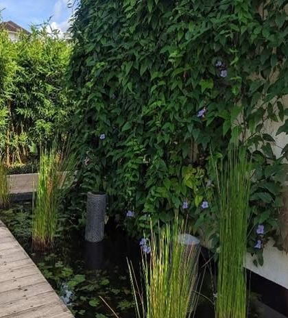 A boardwalk runs alongside a water channel where a living wall of vines meets aquatic plants. This project combines hardscaping, water, and vertical greening for a multi-layered effect.