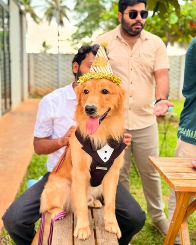 Dog Party & Event Hosting