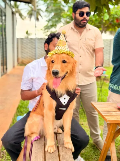 Dressed to impress for his big day! We love making birthday dogs feel like the star of the show with fun outfits, party hats, and all the attention they deserve.
