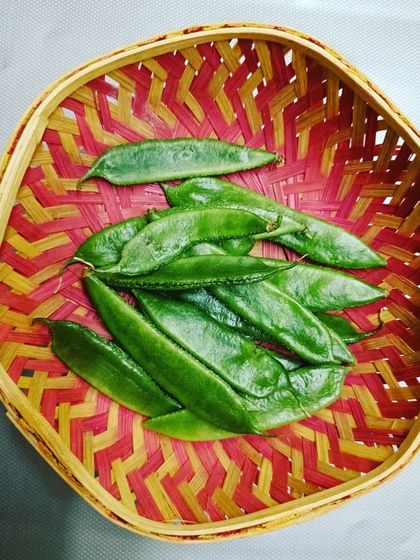 A harvest of flat beans, another great legume you can grow. The variety you can achieve in a small space is one of the biggest benefits of this system.