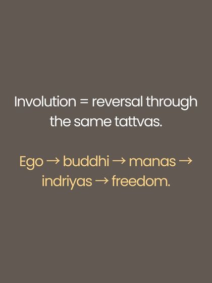 The Sāṅkhya philosophy provides the map for the journey of consciousness. Evolution is the outward movement into identity, through the body, mind, and ego. Involution is the yogic return journey inward, dissolving that identity to find freedom. Understanding this cosmic dance of Puruṣha (stillness) and Prakriti (movement) changes everything about how we see our practice.