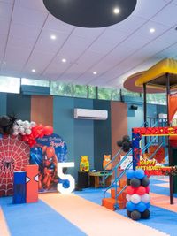 Themed Birthday Parties