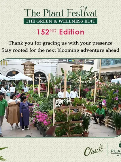 Visitors exploring our extensive display at The Plant Festival. We enjoy creating these immersive green spaces where people can discover new plants and get expert advice.