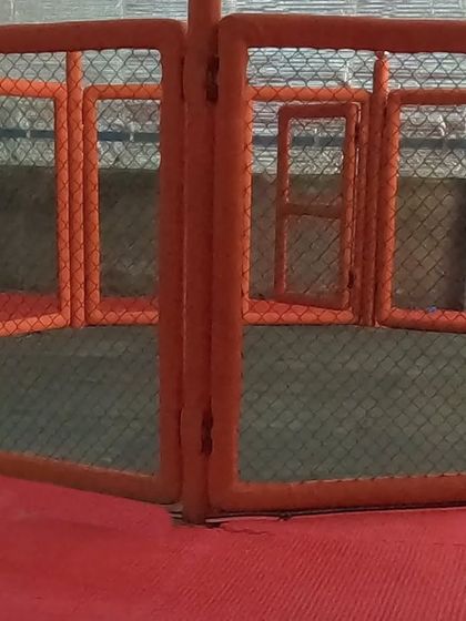 The octagon cage at our Sector 141 club. This is where skills are tested and fighters are made. It's a central feature of our top-tier training environment.