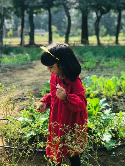 Farmus - Farm Day Out Experience The Joy of the Harvest photo 38