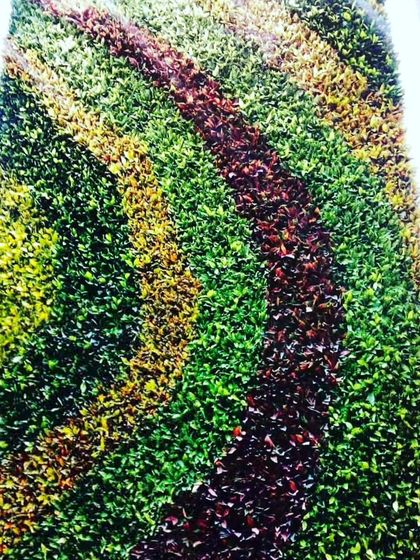 A vertical wall with a colorful, abstract pattern. I use different colored leaves to create custom art pieces for clients who want something truly unique.