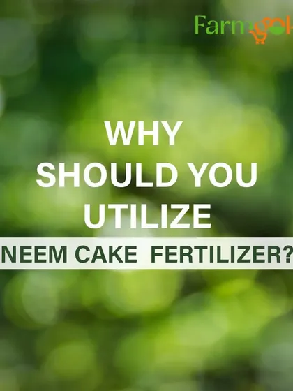 Wondering why you should use Neem Cake fertilizer? It's a 100% natural and organic way to nourish your soil and protect your plants.