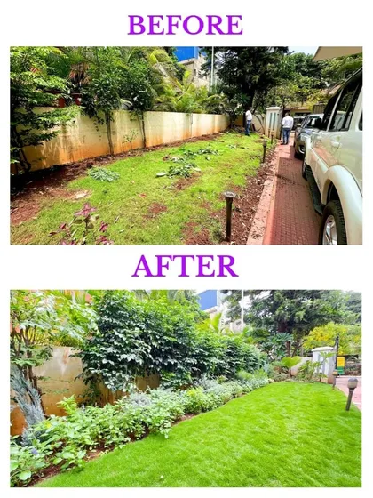 The power of a well-planned landscape is in its ability to completely transform a space. This before and after view of a Bangalore residence shows how we turned a simple, unused patch of land into a vibrant, multi-layered garden.