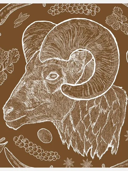 A detailed view of the Bannur Ram illustration, highlighting the fine lines and the spices that define my cooking.