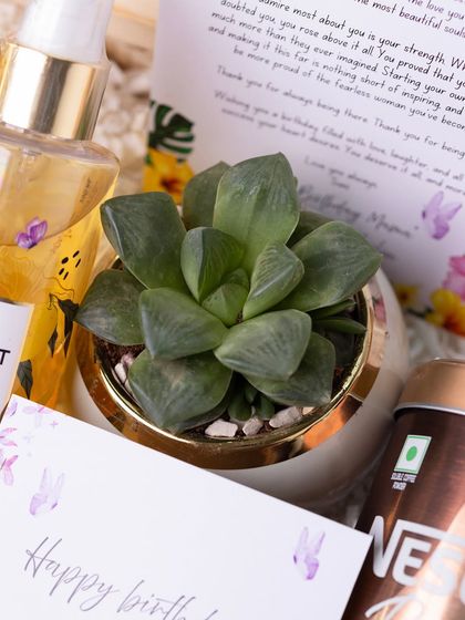 A close-up view of the succulent and personalized birthday card, showing how different elements come together to create a cohesive and beautiful gift.