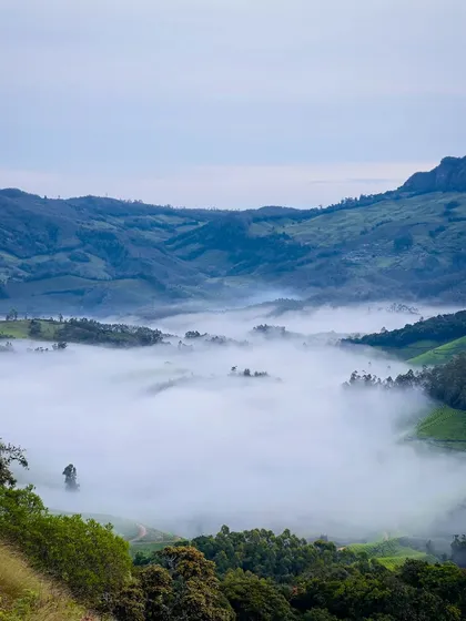 A valley completely filled with mist, as seen on an early morning walk near our campsite.