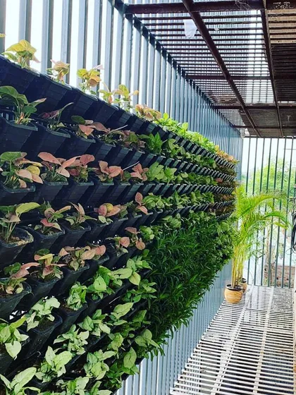 Many apartments have metal grills that obstruct the view. I specialize in designing and installing these beautiful vertical gardens that not only cover the grill but also add privacy and a lush, green view from your living room.