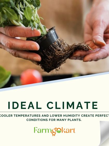 Seasonal Gardening Guides photo 4