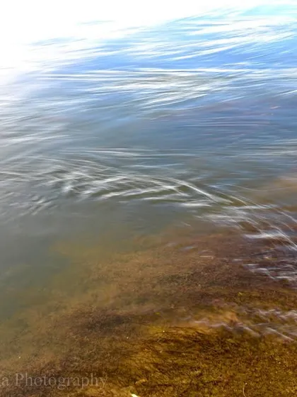 Water flows over submerged ground, its movement captured with a slow shutter. What we have on earth is all we will ever have; we just need to respect it like nothing else visible.