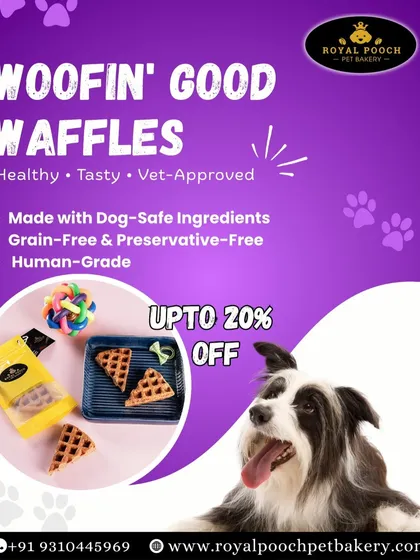 I am so proud of my Woofin' Good Waffles. They are completely grain-free and made with human-grade ingredients, making them a healthy, tasty, and vet-approved snack for your best friend.