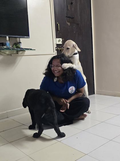 Pure, chaotic joy! Being swarmed with happy licks and cuddles from these two dogs is one of the best parts of my job. It's a reminder that training is also about creating happy, confident dogs who aren't afraid to show their love.