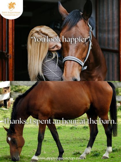 "You look happier." "Thanks, I spent an hour at the barn." The barn is our happy place, and time with the horses is the best therapy.