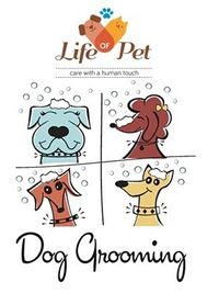 Pet Grooming