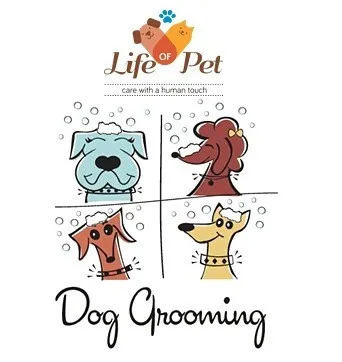 This graphic illustrates our core service: professional dog grooming with a human touch. We offer a complete grooming experience that comes to you, making pet care simple and stress-free.