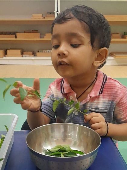 Evolve Montessori - Montessori Preschool Program Curious Hands, Happy Minds photo 11