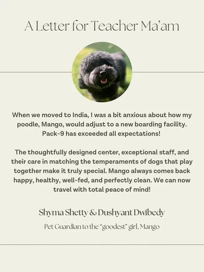 Hearing from happy pet parents is the reason I do what I do. This wonderful note from Mango's family shows the peace of mind that comes from knowing your dog is in a safe, caring, and perfectly clean environment.