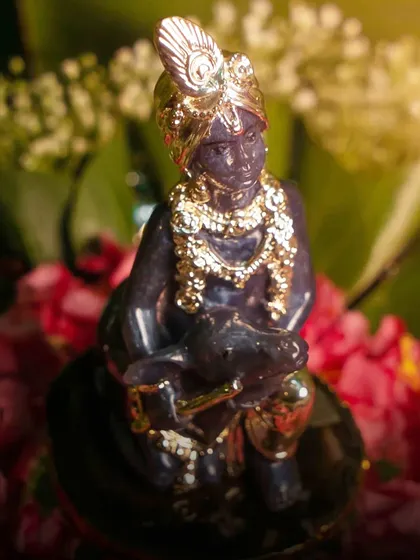 This unique idol of Lord Krishna is crafted from a deep blue stone and adorned with golden jewelry. It is a rich and regal representation, perfect for a collector or as a standout piece in your temple.