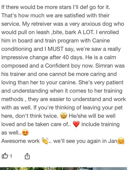 "If there would be more stars I'll def go for it." This feedback about turning an anxious, leash-pulling retriever into a calm and confident boy is why we do what we do.