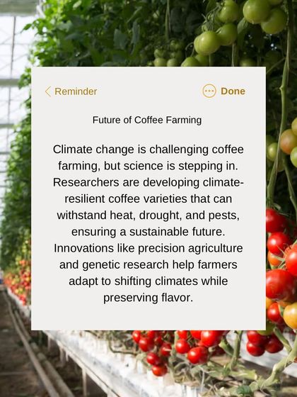The future of coffee depends on sustainability. We follow the science and research into climate-resilient coffee varieties that will ensure coffee farming can continue for generations.