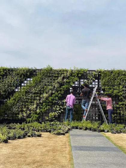 Here is a look at the installation process for a large-scale outdoor vertical garden. My team is carefully placing each plant according to the design to create the final, seamless green wall.