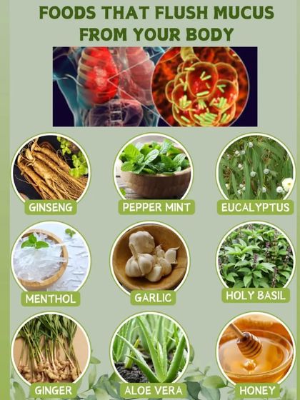 A visual guide to foods and herbs like ginger, garlic, and holy basil that can help flush mucus from your body, providing relief during a cold or flu.