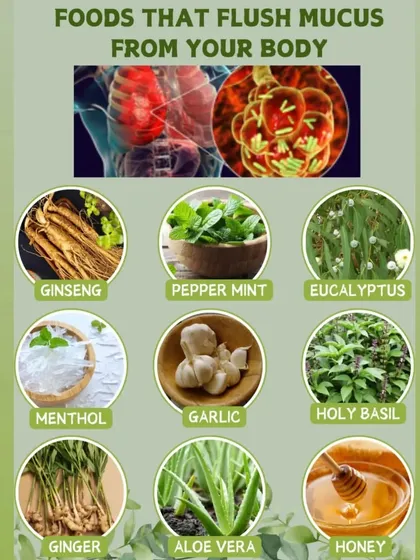 When you have a cough or cold, certain foods can help flush mucus from your body. This infographic shows natural remedies like ginger, garlic, honey, and holy basil that can provide relief.