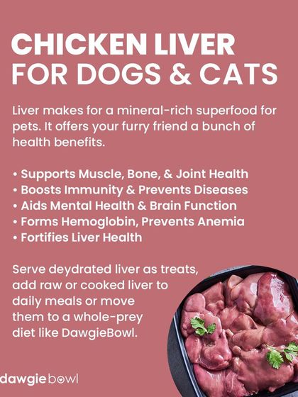 Chicken liver is a mineral-rich superfood for pets. It supports muscle and bone health, boosts immunity, and aids brain function. I include healthy organs in my whole-prey diet plans.