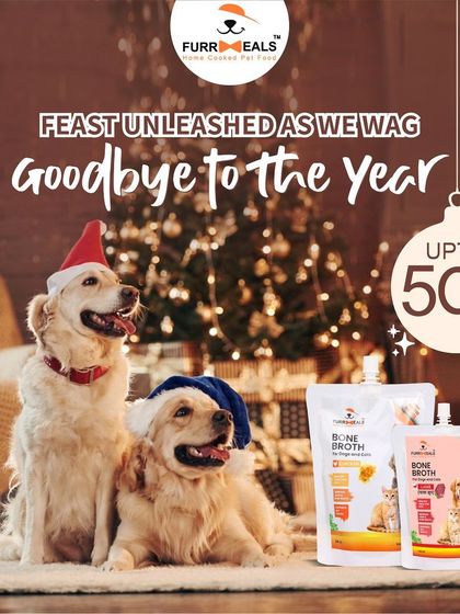 Here are more of our festive sale announcements, including for Diwali, Christmas, and Independence Day. I always try to make these celebrations special for your pets too.