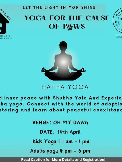 Oh My Dawg - Animal Welfare & Adoption Services Community Events & Initiatives photo 4