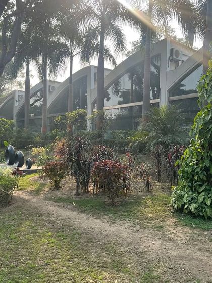 A view of a sprawling garden we designed and maintain for a client. The mix of tall palms, manicured shrubbery, and open lawn space creates a luxurious, park-like setting that complements the modern architecture.