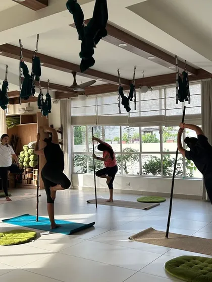 A beautiful shot of students in a stick-assisted tree pose, using the danda for balance and grounding. The morning light fills the studio, creating a peaceful ambiance.