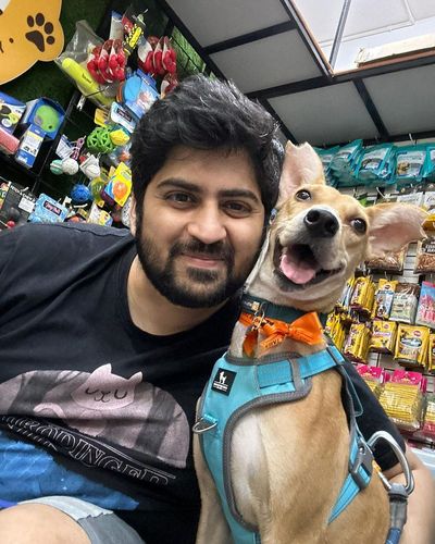 Pet Adoption Services