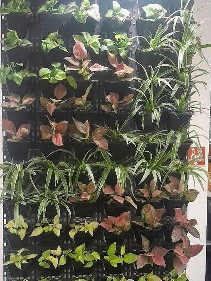 Lush Vertical Green Walls photo 11