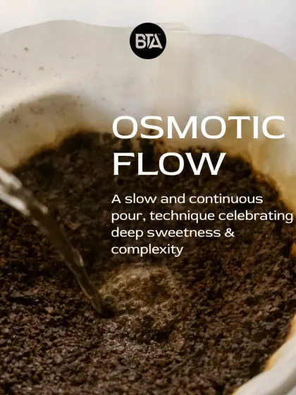 Osmotic Flow is a slow and continuous pour technique. It's a mindful brewing ritual that celebrates deep sweetness and complexity in the final cup.