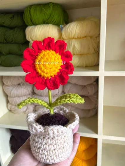 A bright red and yellow potted daisy, another one of the many color options available.