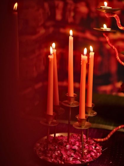 Elegant Receptions & Dinners photo 32