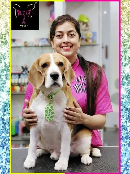 Fuzzy Wuzzy - Pet Grooming & Spa Spaniels, Retrievers & Large Breed Grooming photo 46