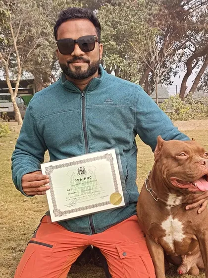 This was a proud moment. Here I am with my boy Thor, an American Pitbull, after he became the first in India to clear the PSA PDC (Protection Dog Certificate) on a full bite suit. This certificate is proof of our dedication and high standards.
