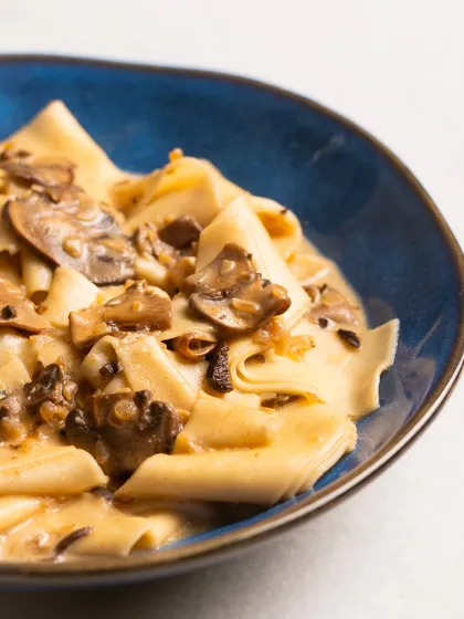 A beautifully plated bowl of handmade pasta with a creamy mushroom sauce. The clean composition and appealing colors make it a great menu photograph.